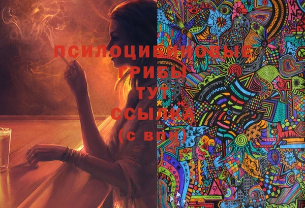 спайс Абаза