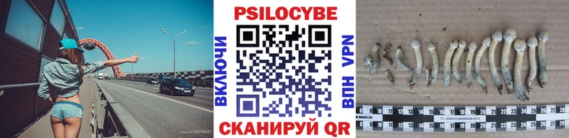 площадка какой сайт Алексин MEGA рабочий сайт Псилоцибиновые грибы Psilocybe купить наркоту